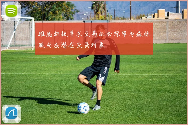 雄鹿积极寻求交易机会绿军与森林狼或成潜在交易对象