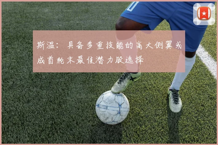 斯温：具备多重技能的高大侧翼或成首轮末最佳潜力股选择